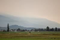 A new normal for Western Washington and wildfires