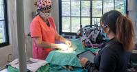 Spay, neuter clinic set from Aug. 11 to Aug. 20 in Sinajana