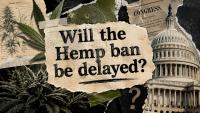So Will the Hemp Ban Be Delayed or Not? Tensions Rise Between the GOP and the White House