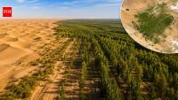 China's Taklamakan Desert is now capturing more carbon than it emits