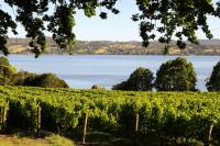 Wine Tasmania’s National Wine Trade Visit set for October
