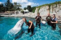 CT tourism generated $20.1B in economic impact in 2025 as visitation outpaced U.S.