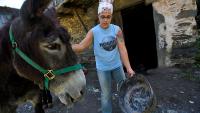 Why are vets fleeing rural Spain and what does it mean for animal rights?