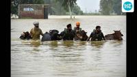 Guest column | Punjab can’t afford to ignore climate finance