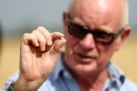 Food security fears mount as UK farmers battle drought