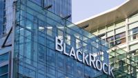 BlackRock buys up this crypto amid its Bitcoin sell-off