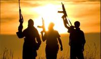 Maha govt orders confiscation of radical, anti-national literature linked to banned terror outfits