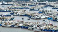 China steps up coordinated, tech-enabled response to Typhoon Dolphin