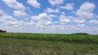 Iowa's Chuck Grassley says this farm bill isn't bipartisan