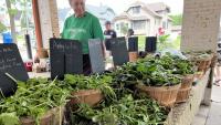 As Wisconsin cyclosporiasis cases rise, local farm sees increased demand for lettuce