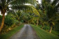 The Jamaica we must still build