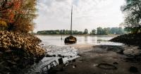 Drought Threatens a Vital Economic Artery in the Heart of Europe