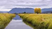 Idaho shareholders vote out canal board after outcry over treated wastewater plan