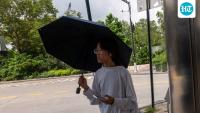 Dog-meat soup, chicken broth: North Korea suggested ways to beat the heat