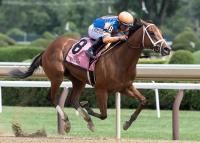 A Look At Life Changing, The Latest ‘Rising Star’ For White-Hot Sire Life Is Good