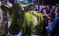 Christian parties lose in Dutch provincial elections