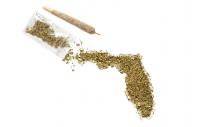 Medical Marijuana Card Does Not Bar Firefighter’s Suspension, Florida Court Says