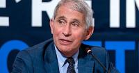 ‘All he had to do was tell the truth’: Senate committee holds Fauci in contempt