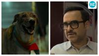 Ohh My Dog review: This Pankaj Tripathi starrer about fur babies is family friendly, yet too predictable to leave a mark