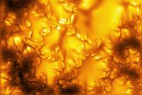 New images of the sun’s surface reveal a strange and dynamic facade