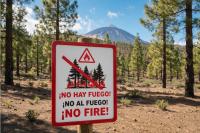 Government activates forest fire alert on five of the Canary Islands