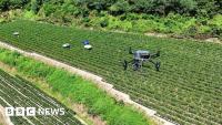 Drone warnings and sheltering in airports as South Korea battles historic heatwave