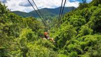 Zipliners, explore the Congo rainforest from above