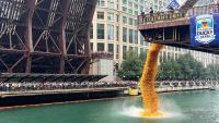 90,000 rubber ducks race down Chicago River for charity