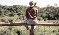 Kenya ranch lost half its farmers as invasive cactus spread, but displacement went uncounted