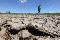 The next food crisis is already knocking