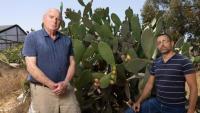 Israel's secret weapon to save Cyprus farms