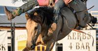 PRCA's best come to Rawlins for Carbon County Stampede