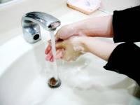 First domestic typhoid case of this year reported