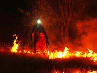 European wildfires face ‘major insurance gap’: Swiss Re