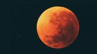 9 Night Sky Events to Watch in August: From Eclipses to Meteor Showers