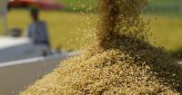 Japan's food self-sufficiency rate falls to record low 37% in FY 2025 （2026/8/7）