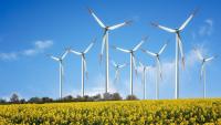 Wind Energy Capacity Expansion, A Rational Step