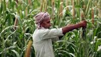 Punjab Assembly’s anti-E20 stand finds little resonance among farmer groups