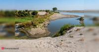 Microplastics accumulating in freshwater fish from Yamuna could pose long-term health risks: Doctors