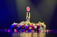 Bridging cultures through dance
