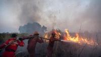 The Domino Effect of Forest and Land Fires