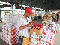 Photo of the day: Highway closures worry J&K’s apple farmers