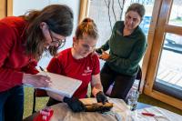 Researchers tracking whether contagious catfish cancer in Quebec has spread to N.B.