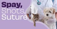 Consider Veterinary Costs When Choosing a Pet