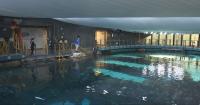 Go behind the scenes and above the reef in this new Seattle Aquarium tour!