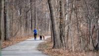 Japanese Garden, White River trail expansions coming to Carmel