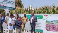 Quality seeds, Dutch technical knowhow power up Tanzania’s horticulture, potato farming
