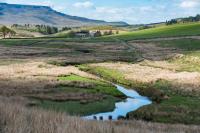 No Yorkshire rivers, canals or lakes given 'good' rating by Environment Agency