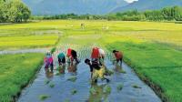 Thanjavur Farmer Bodies Find Nothing To Cheer About TN Agri Budget