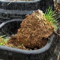 Department of Agriculture opens cost-share grants for urban ag projects